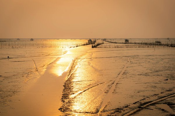 Peut-on trouver une maison de vacances en Dordogne avec des cours de cuisine et des visites de grottes préhistoriques?