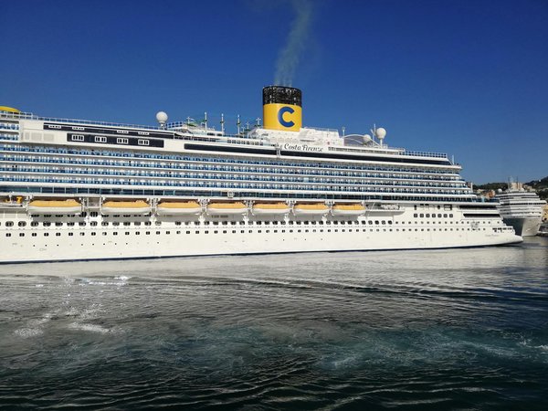 Quelles croisières proposent des excursions pour observer les phoques en Nouvelle-Zélande?